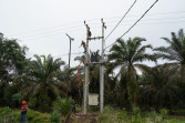 Melalui Program Electrifying Agriculture, PLN penuhi kebutuhan listrik industri pengolahan kelapa sawit di Kampar