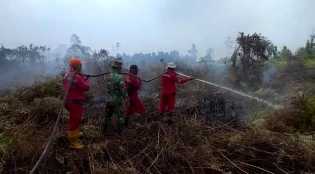 BPBD Dumai : Sudah 174 Hektar Lahan Terbakar Di Enam Kecamatan Di Dumai