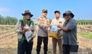 Polsek Kandis Dukung Swasembada Pangan, Kapolres Siak Hadiri Tanam Raya Jagung Serentak Kuartal I 2026