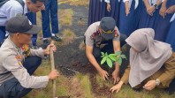 Polsek Teluk Meranti Tanam Pohon Penguatan Program Penghijauan Green Policing di SMPN 1 Teluk Meranti