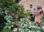 Dukung Ketahanan Pangan Nasional, Bhabinkamtibmas Rimba Sekampung Rutin Lakukan Pengecekan Perkarangan Warga