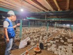 Utamakan Daya Beli Masyarakat, Pemerintah Jaga Tarif Listrik Tetap Terjangkau Sepanjang 2025
