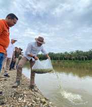 Tingkatkan Kelestarian Sungai, PTPN V Kembali Sebar Ratusan Ribu Benih Ikan