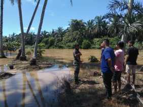 Wilayah Tambusai Diguyur Hujan, Babinsa Pantau Debit Sungai Batang Sosah