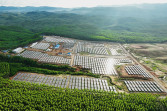 COP29, PLN Dorong Kolaborasi Global Perkuat Energi Hijau di Tanah Air