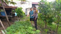 Bhabinkamtibmas Sukaramai Sambangi Warga, Ajak Manfaatkan Pekarangan untuk Ketahanan Pangan