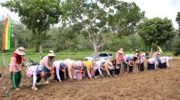 Srikandi Movement PLN : Women Support Women Kelompok Wanita Tani Luwa Pulau di Kampar Riau