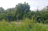 Cegah Karhutla, Babinsa Koramil 01/Bangko, Patroli dan Sosialisasi Bahaya Karhutla di Kep. Labuhan Tangga Besar