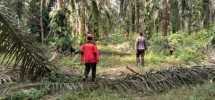 Antisipasi Karhutla, Personel Polsek Kandis Patroli Areal 1000 Dusun Gajah