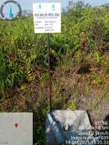 Buka Kebun Sawit Di Cagar Biosfer Giam Siak Kecil Rusak Beberapa Titik Sumur Bor BRG Dengan Alat Berat