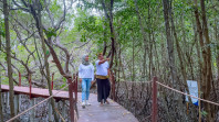Ekowisata Hutan Mangrove Purba Jerowaru Kerek Ekonomi Masyarakat