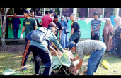 SMAN 4 Pekanbaru Potong 4 Hewan Kurban, 260 Kupon Didistribusikan