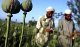 Miris, Pecandu Narkoba Wanita di Afganistan Terus Meningkat