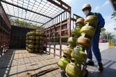 Jelang Hari Raya Idul Adha 1447 H, Pertamina Patra Niaga Regional Sumbagut Siapkan Penyaluran 1,2 Juta Tabung LPG 3 Kg