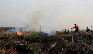 Sepanjang Tahun 2018, Terjadi 56 Kasus Kebakaran Lahan di Pekanbaru