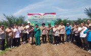 Kapolsek Kandis Bersama Upika Tanam Jagung 10 Hektar, Dukung Program Ketahanan Pangan Nasional