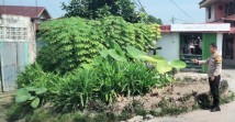 Polsek Pekanbaru Kota Dokumentasikan Pemanfaatan Pekarangan Bergizi Warga di Kelurahan Kota Baru