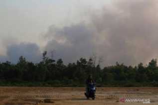 Kota Dumai Diselimuti Asap Pekat Akibat Kebakaran Hutan