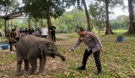 Sembari Patroli, Kapolda Riau Kunjungi Keluarga Gajah di TWA Buluh Cina