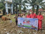 Rayakan Idul Adha 1446 H, PT EMP Energi Gandewa Bersama Subkontraktor Salurkan Hewan Kurban Di 3 Kabupaten