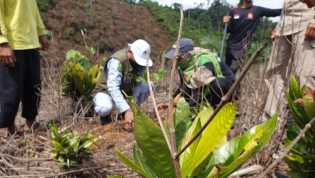 Hari Gerakan Satu Juta Pohon Sedunia ,Kolaborasi PTPN V Reboisasi Hutan Lindung Bukit Suligi