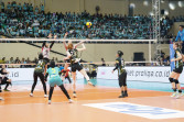 Menang Mudah 3-0 atas Pertamina Enduro, Jakarta Electric PLN Juara Putaran 2 Final Four PLN Mobile Proliga 2024
