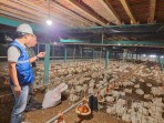 Pemerintah Putuskan Tarif Listrik Triwulan II 2026 Tidak Naik, PLN Siap Jaga Keandalan dan Kualitas Layanan di Tengah Dinamika Global