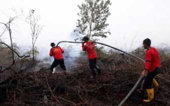 Masyarakat Desa Pekan Tua bersama Tim Damkar PT SRL Berjibaku Padamkan Api di Kempas