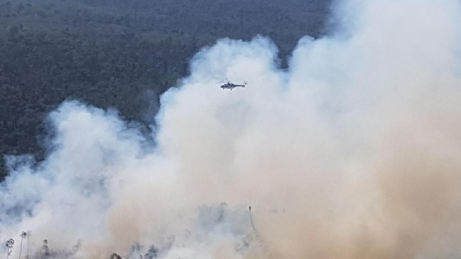 Asap Membumbung Tinggi, Ini Penampakan Hutan Terbakar di Riau dari Udara