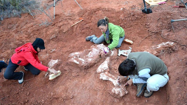 Fosil Dinosaurus Raksasa Pertama Ditemukan di Argentina