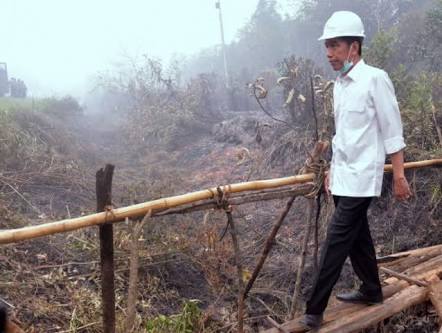 Jokowi Minta Pangdam dan Kapolda Dicopot Jika Ada Kebakaran Hutan