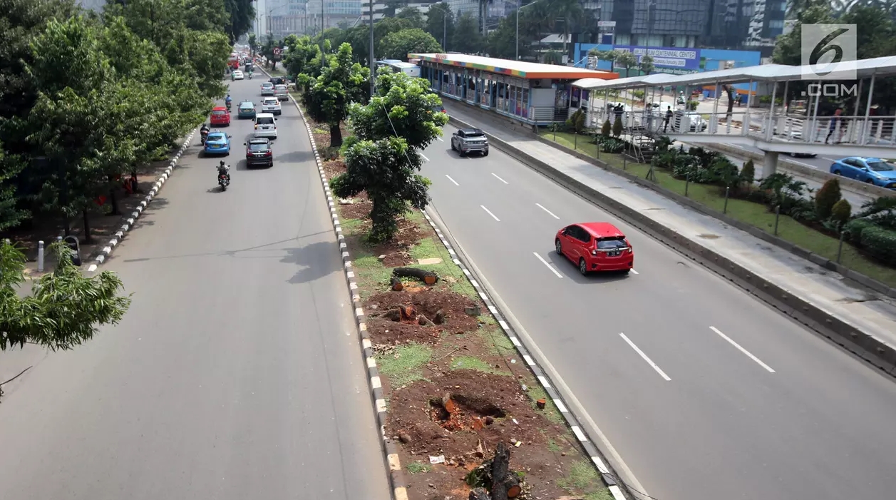 Pengamat: Desain Trotoar Anies Baswedan Korbankan Lingkungan