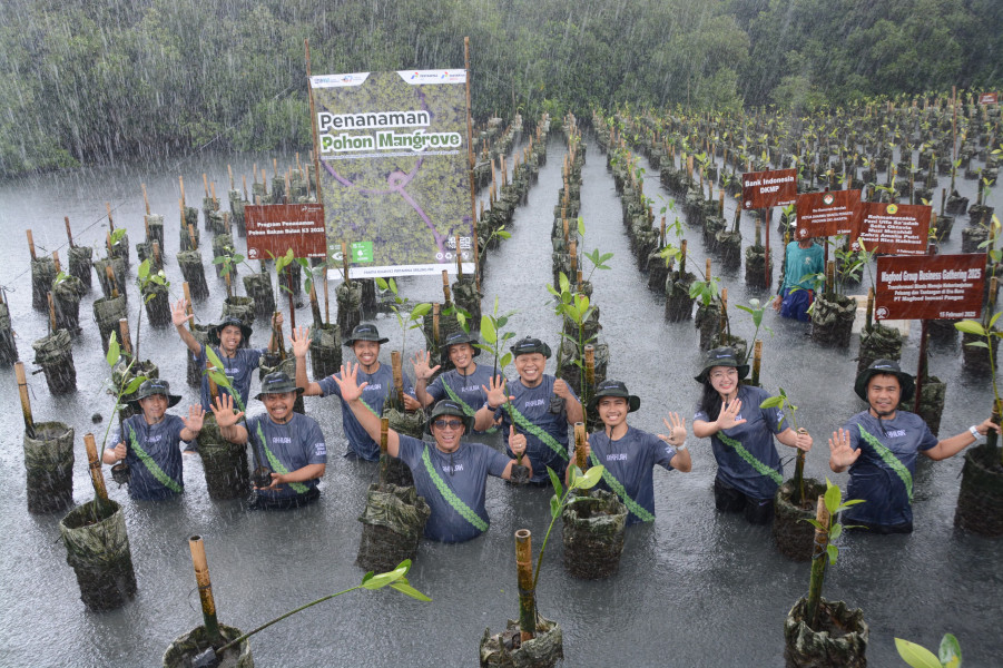 Pertamina Drilling Tanam 1.000 Pohon Mangrove di Pesisir Jakarta Utara