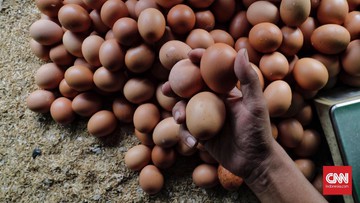 Mendag: Penjual Telur Ayam Harus Turunkan Harga dalam Sepekan