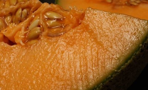 Antisipasi Listeria, Kementan Cegah Melon Australia Masuk ke Indonesia