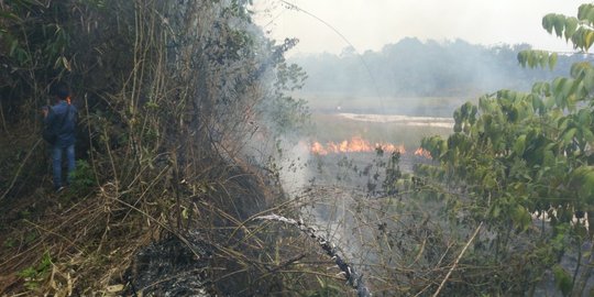 Kebakaran Hanguskan 51 Hektare Hutan & Lahan di Samarinda Dalam 6 Hari