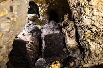 Lebih dari 40 Mumi Kuno Ditemukan di Mesir, Ada Anjing dan Anak-anak