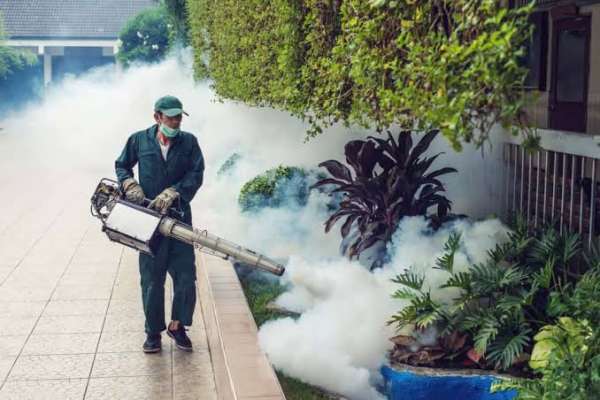 Masyarakat Diminta Kenali Petugas Fogging Resmi