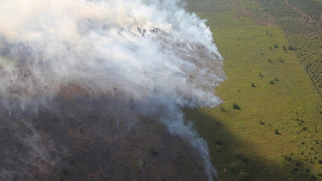 Sumbar Waspadai Kabut Asap Kiriman dari Riau