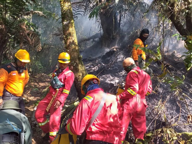 Api Melalap Lahan Hutan di Kaki Gunung Tangkuban Perahu