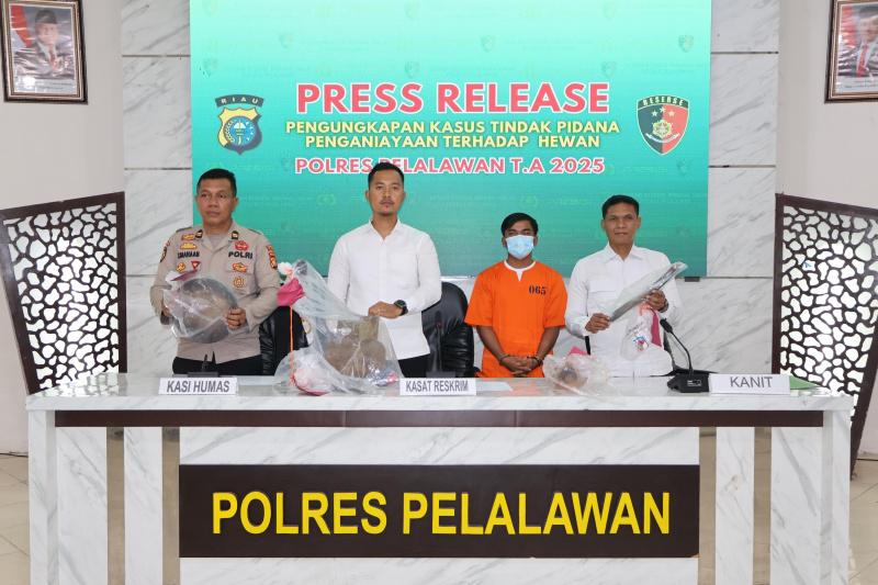Polres Pelalawan Tangkap Pelaku Perdagangan Daging Anjing