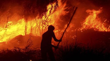 Malaysia Temukan 46 Titik Api di Kalimantan dan Sumatera