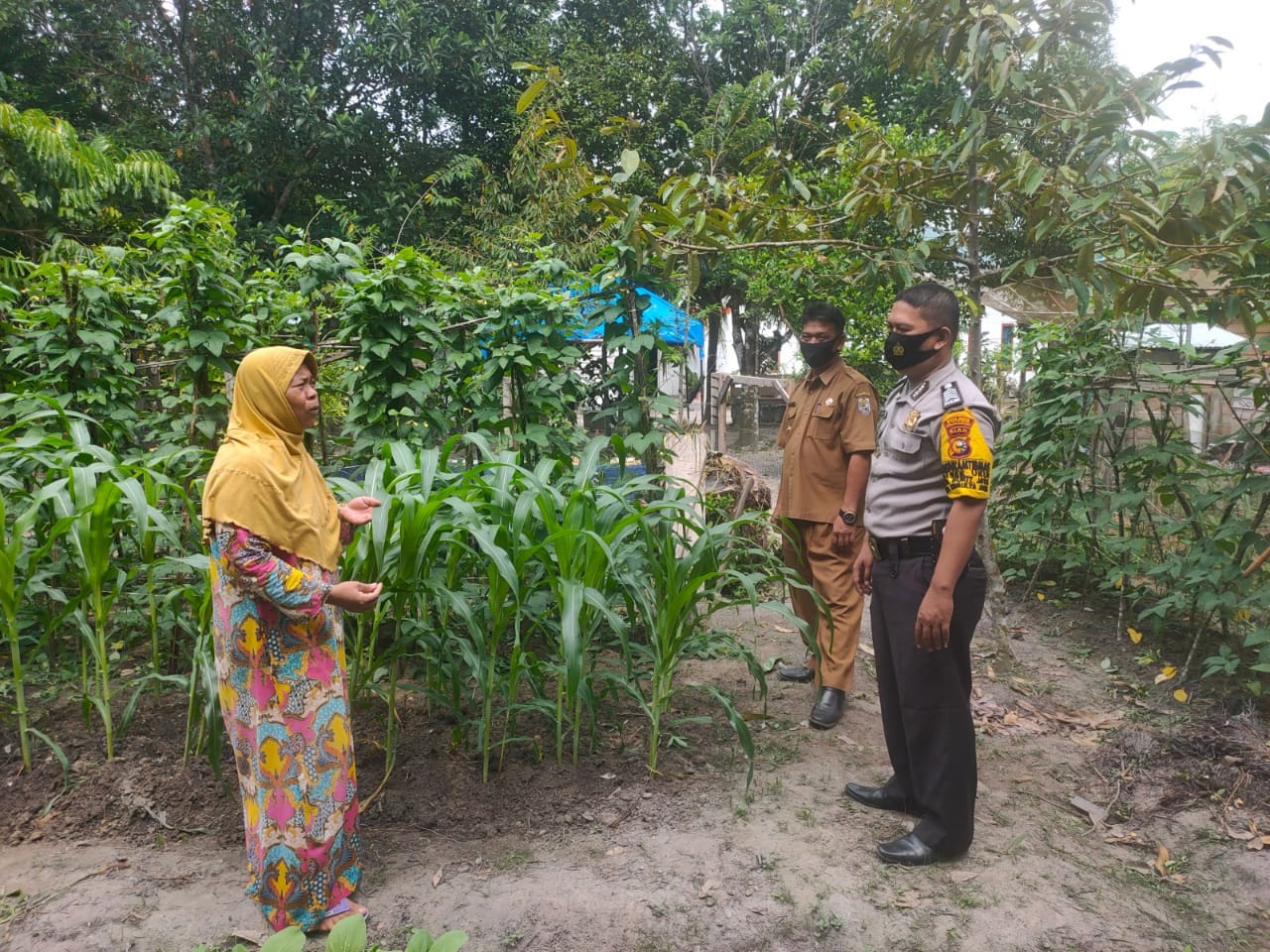 Polsek Ukui Bersama Kades Cek Lahan Tanaman Pangan di Desa Tri Mulya Jaya