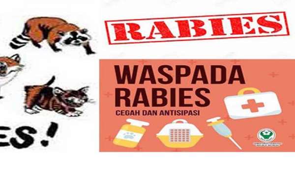 56 Kasus Rabies Di Pekanbaru, Warga Diminta Waspada