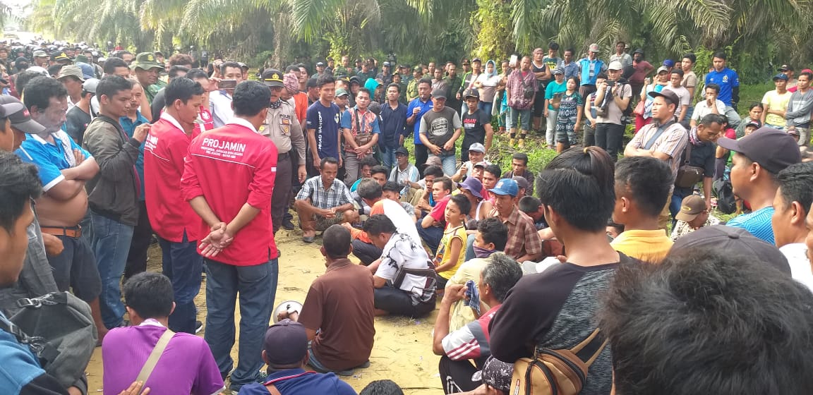 Istana Warning Panglima TNI dan Kapolri Soal Sengketa Lahan Gondai