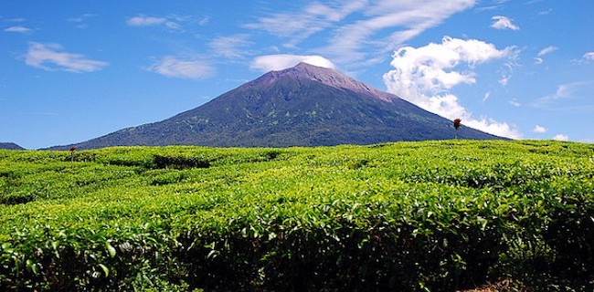 Gunung Kerinci Nyembur, Warga Diminta Menghindar Radius 3 KM