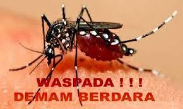 Dinkes Pastikan Pekanbaru Belum Kategori KLB DBD