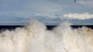 BMKG: Tsunami Lebih dari 0,5 Meter Terjang Palu