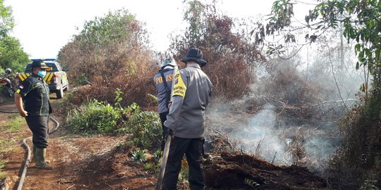 15 Hektare Hutan Konservasi BKSDA Riau Terbakar