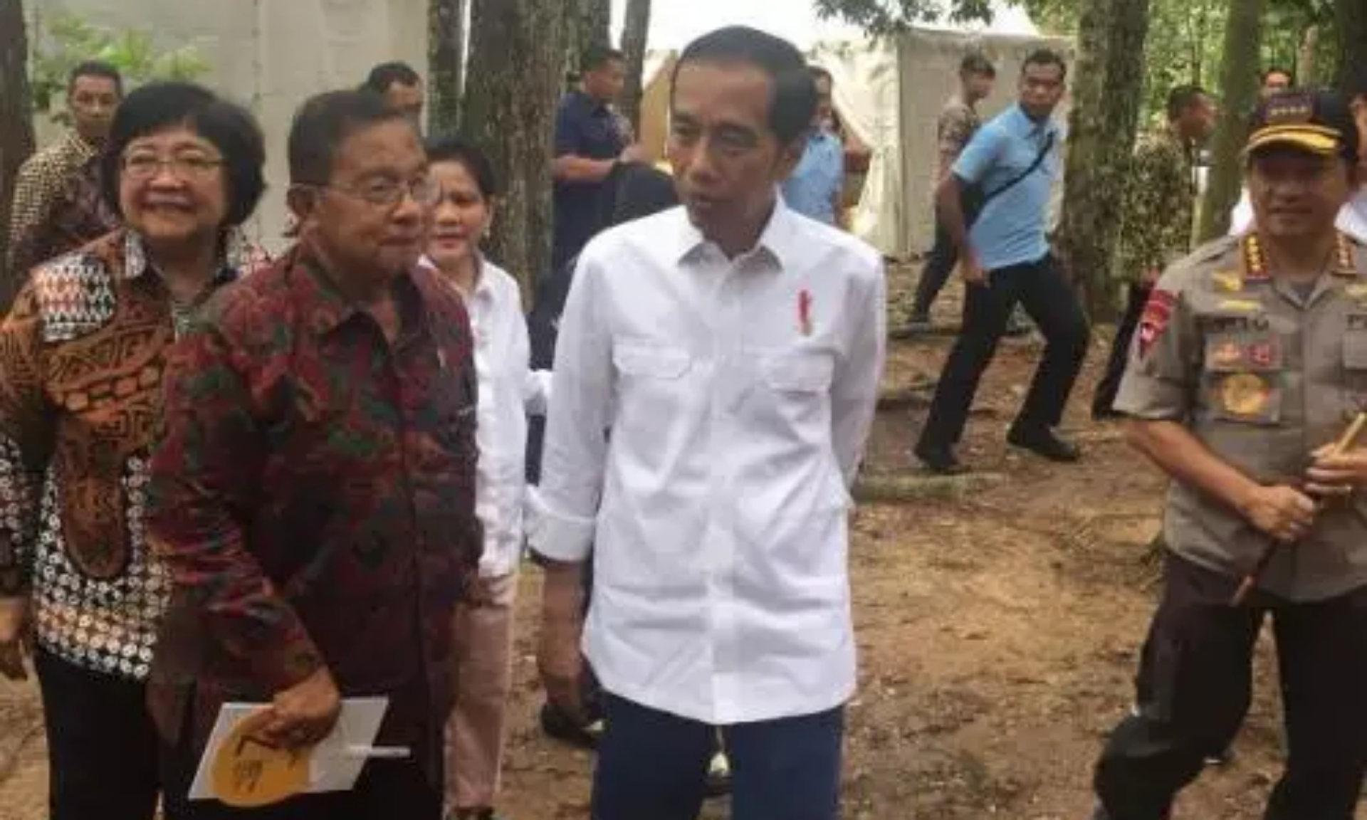 Jokowi Sarankan Petani Sawit Beralih Tanam Jengkol dan Petai